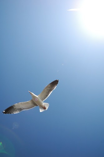 DSC_6166.jpg
