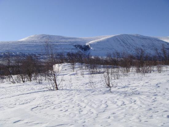 day scenery. Read Kiruna Guidetur - Day