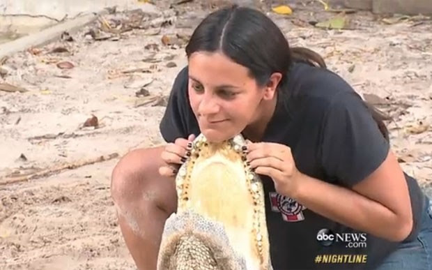 Martha Rivera chega a colocar o queixo sobre a mandíbula de jacarés (Foto: Reprodução/YouTube/ABC News)