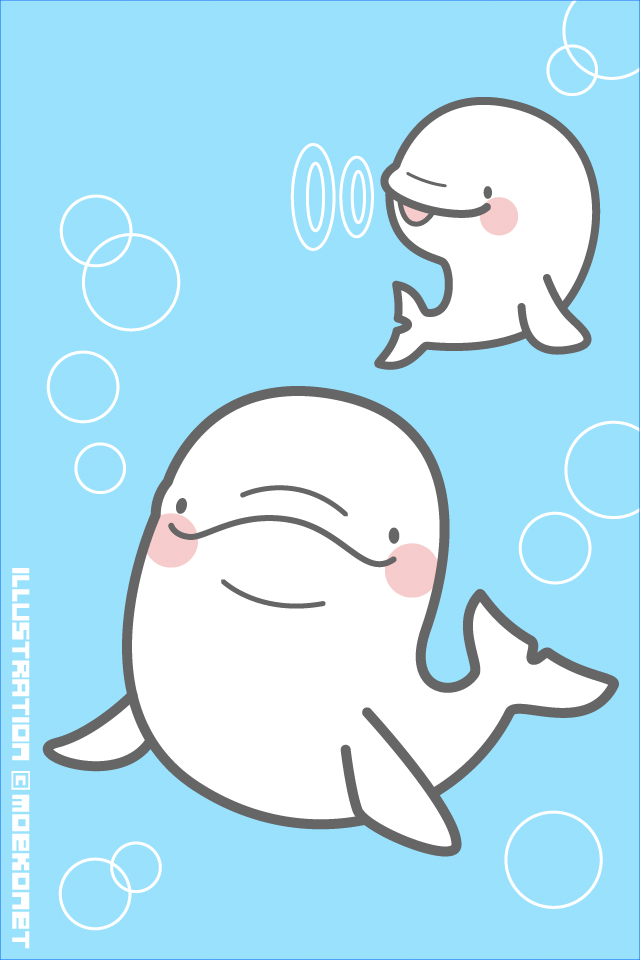 動物イラスト No 79 しゃべるベルーガがいるらしい イラスト制作moekonet