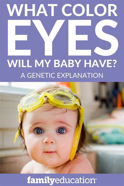  eye color genetics chart baby eye color predictor eye color