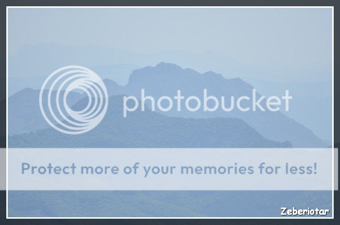  photo 35_zps224c52db.jpg