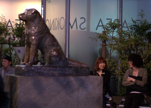 2010-05-17 Shibuya (4).DNG