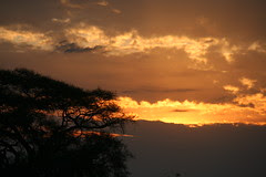 Splendid Sunset