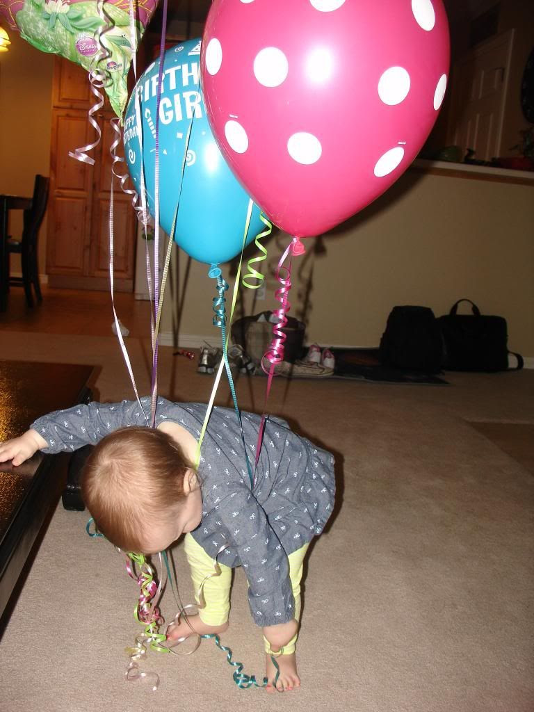  photo DSC05015_zps9cfa3b0c.jpg