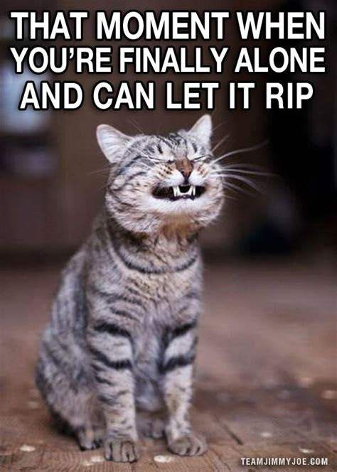 A rite of passage for musicians is having a song on the top 40 hits radio chart. 15 Ways to Laugh: Funny Pics & Memes | Team Jimmy Joe