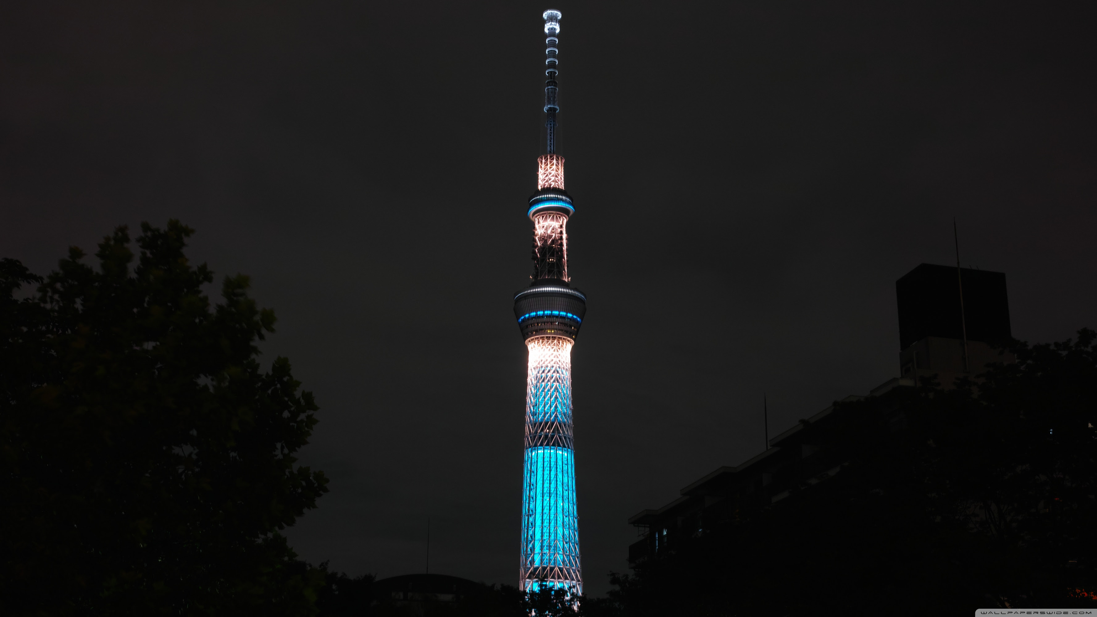 tokyo skytree at night