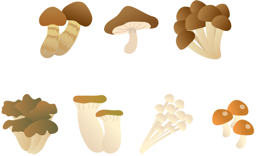 フリーイラスト 松茸や椎茸などの7種類のきのこのセットでアハ体験 Gahag 著作権フリー写真 イラスト素材集