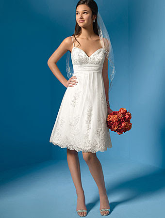 Modern Models of Short Wedding Dress
