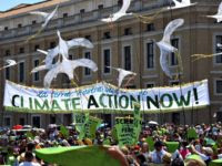 Vatican Official: Environmental Sustainability Creates ‘Real’ Happiness