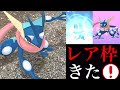 【印刷可能】 ゲッコウガ ケロマツ 色 違い 114380