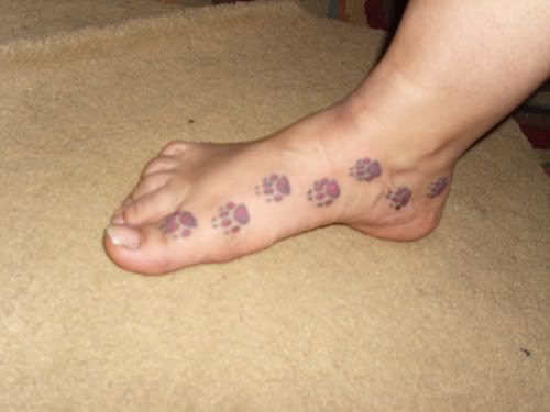 I had been wanting to get one for a few years and originally wanted a paw 