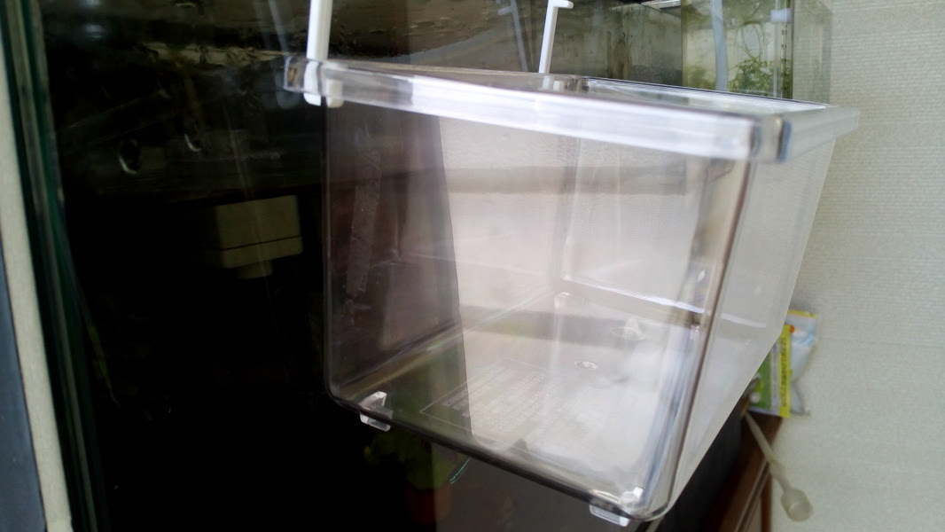 内掛け式サテライトを自作する 作成 波乱万丈 熱帯魚life