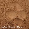Color Blend Warm