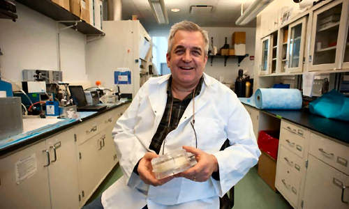 Artificial-lung