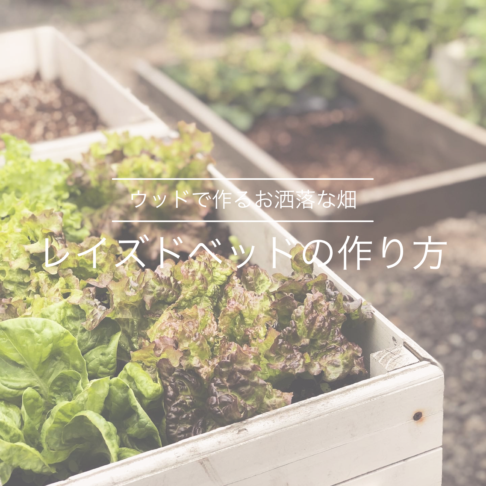 家庭菜園 簡単diy ウッドのお洒落なレイズドベッドの作り方