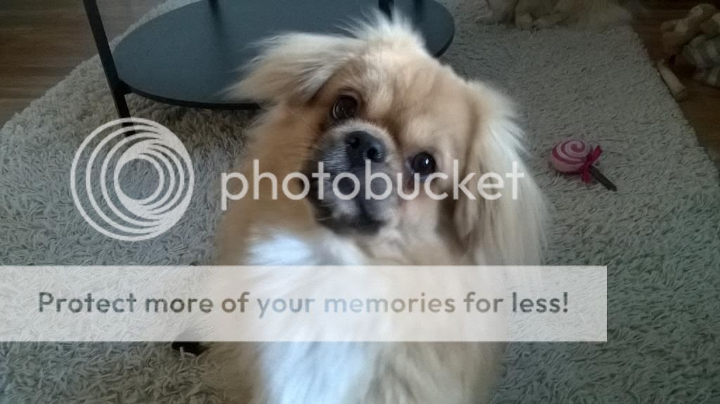  photo WP_20140827_002_zps4e58b290.jpg