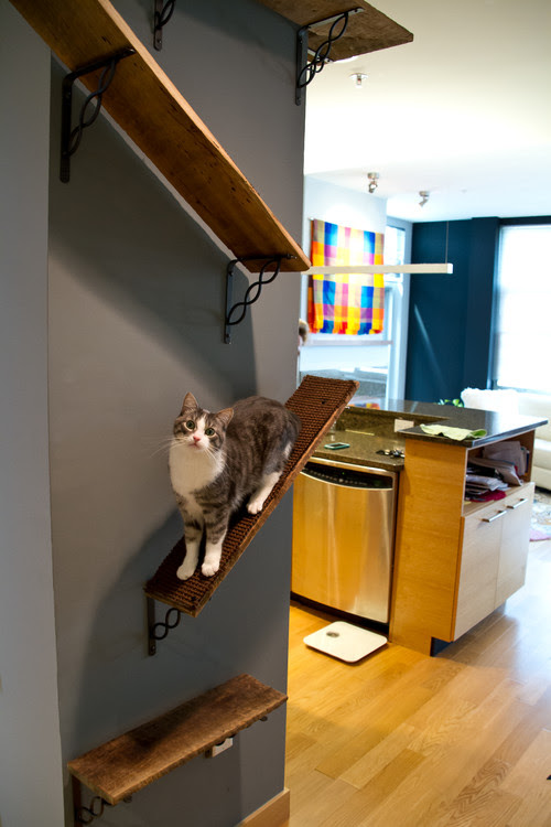 猫と快適に暮らすインテリアの作り方と31の具体的実例