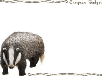 穴熊 アナグマのイラスト 条件付フリー素材集