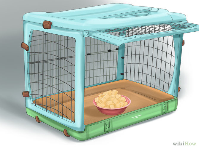 Crate Train Your Dog or Puppy Step 14 Version 3.jpg