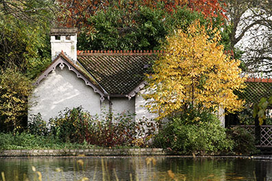 Cottage in the Park