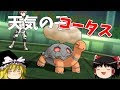 [ベスト] ポケモン サンム��ン コータス 171149-ポケモ�� サンムーン コータス