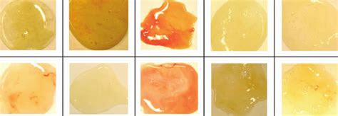 The chart is designed to illustrate how different colors are created. phlegm color chart bestvup beware of the massachusetts covid colors