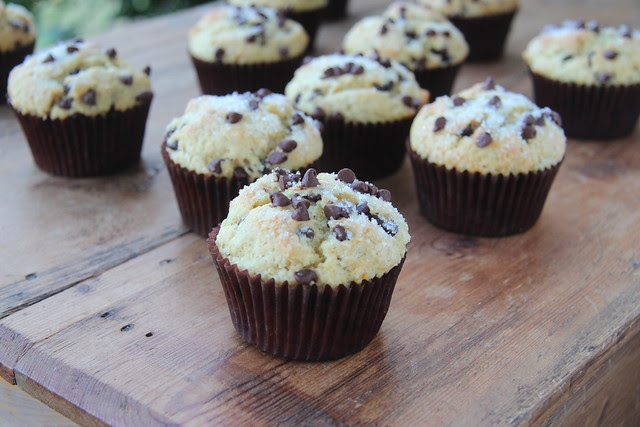 Orange Chocolate Chip Muffins