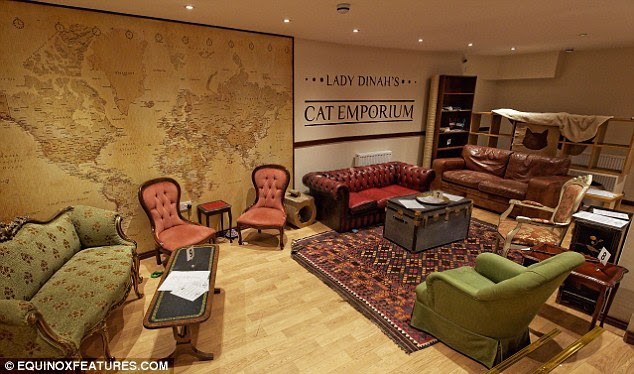  Cafe  purrcolater Inside London  s first cat  cafe  as 