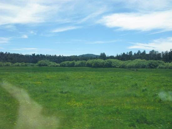 Arthurs Pass Images
