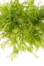 Prostate Cancer Treatment With Seeds / Debbie Evans The A to Zzzz's Guide to Natural Sleep Aids Sound the