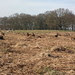 2014-03-08-4424