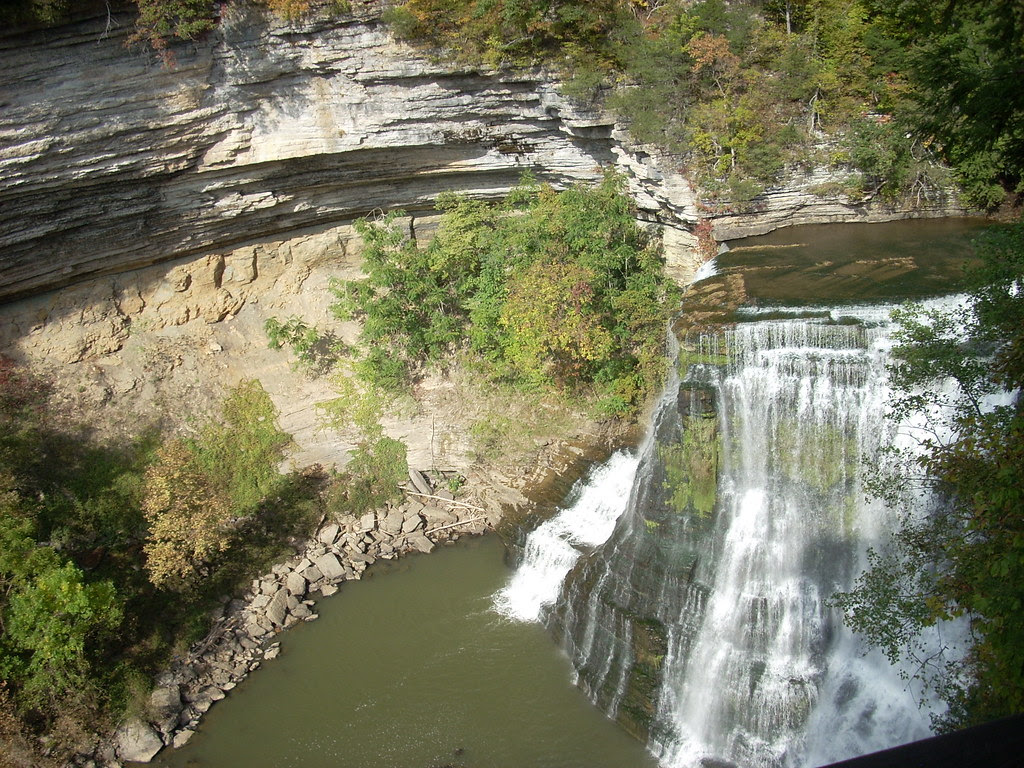 DSCN1873