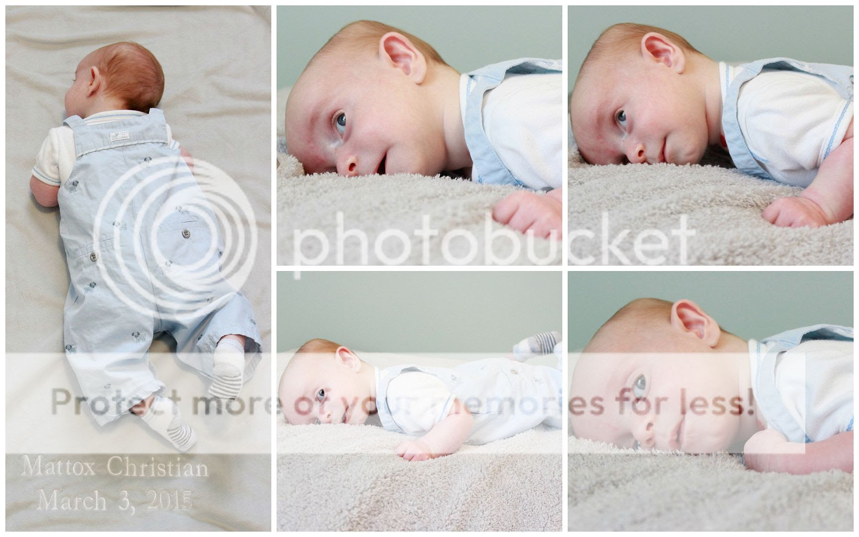 photo Mattox.collage12_zps7akhqhe1.jpg