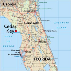 cedar key fl map Where Is Cedar Key Florida Interactive Map Of Cedar Key Fl Usa cedar key fl map