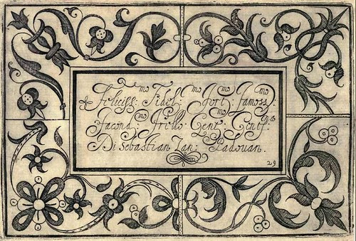 Bertozzi + Zanilla 1604 Lace Typography g