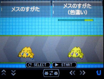 テトのひだまり日記 色違いバチュル