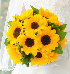 ひまわりの花束 切り花をプレゼント 値段の相場と長持ちさせる方法 Flovia
