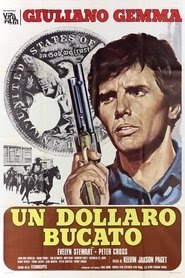 荒野の１ドル銀貨 映画 フルシネマ字幕 UHDオンラインストリーミング1965