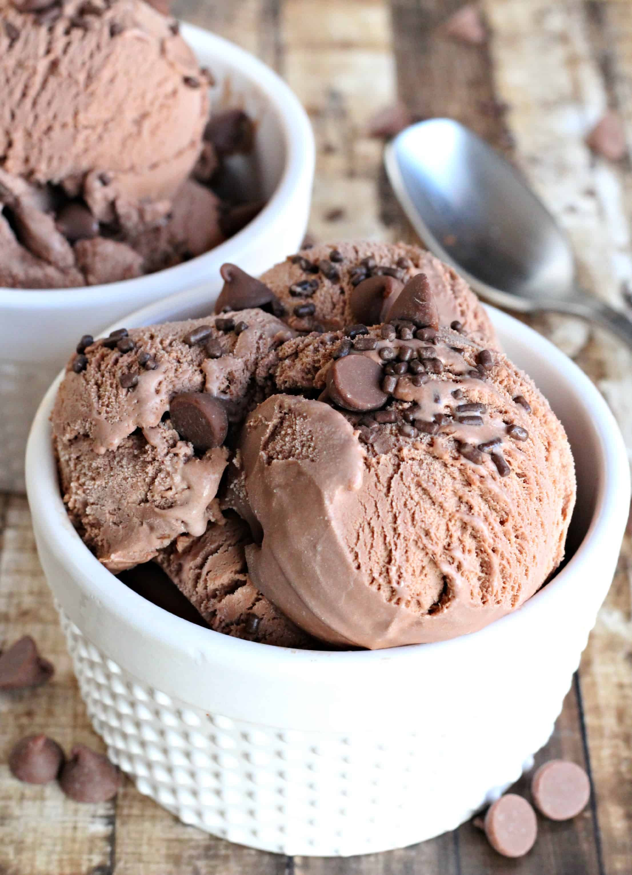 Double Chocolate 4-Ingredient {Dairy-Free} Ice Cream ...