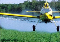 http://www.barrameda.com.ar/dp/images/news02/fumiga01.jpg