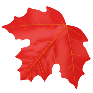 楓 花 植物イラスト Flode Illustration フロデイラスト