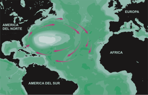Mapa del mar de los Sargazos, con indicación de las corrientes marinas circundantes.