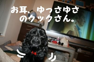 クックにお手製スヌードを さば いｈｏｌｉｄａｙ