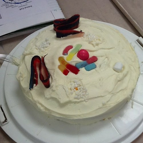 Cake 1