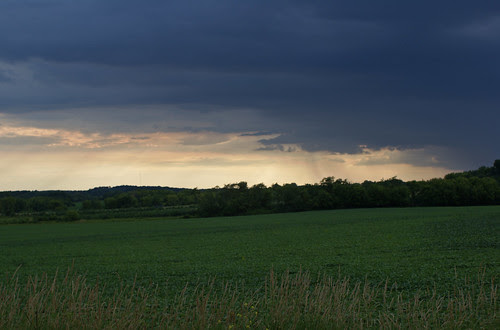 DSC04787_2