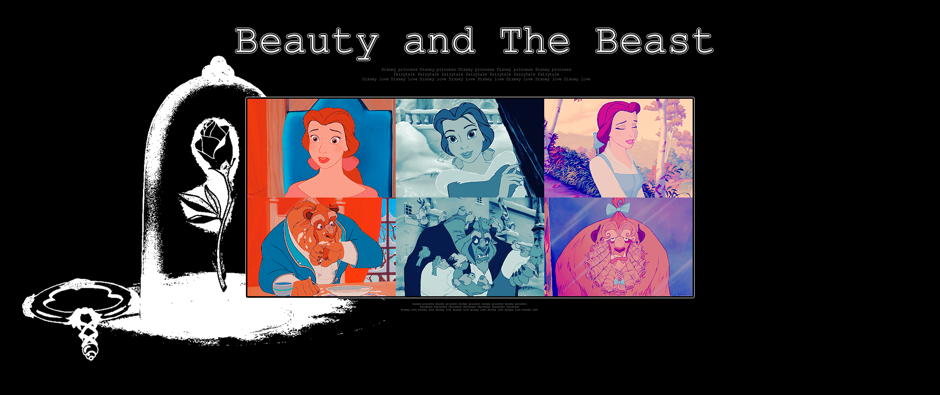 Beauty And The Beast Disney Princess Photo  Fanpop