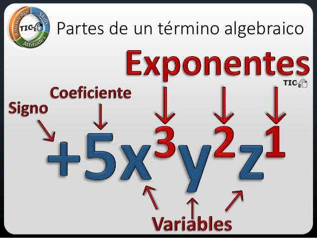 Resultado de imagen para termino algebraico