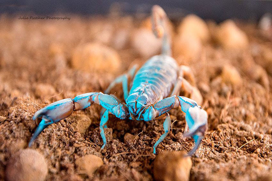 landscape-nature-photography-australia-julie-fletcher-5