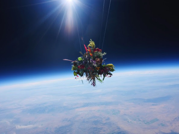 9 what happens when you launch flower bouquets into space